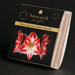 Amaranth Kokos Blumenerde...