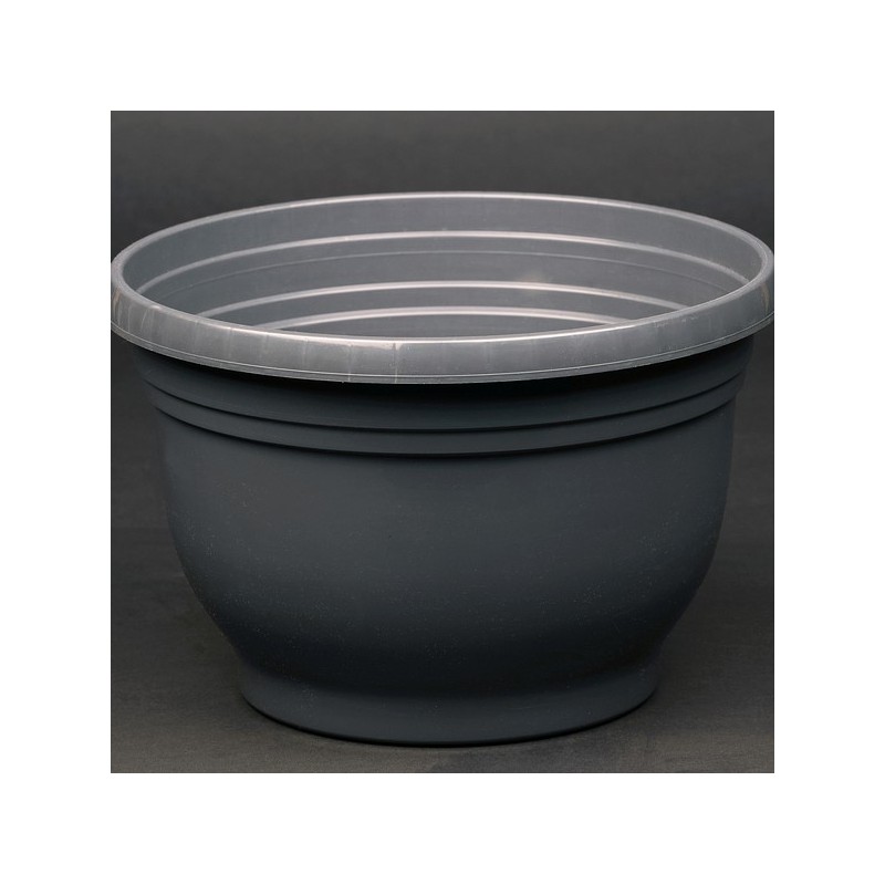 Terreau Fibre De Coco 6 Disques 60mm - Pour Semis, Rempotage, Herbe à Chat - 100% Naturel Et Drainant