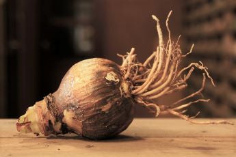 Aanbieding; 3x Double King met 30% korting