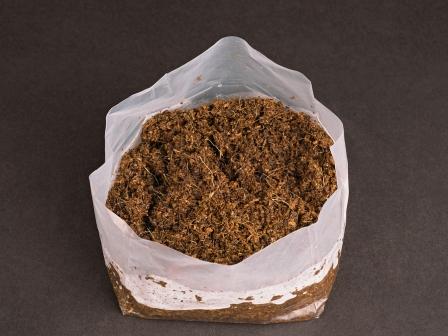 Amaranth Kokospotgrond voor 1 bloempot