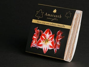Amaranth Kokospotgrond voor 1 plantschaal
