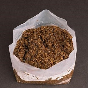 Plantschaal 25 cm met Amaranth kokospotgrond