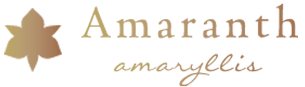 Amaranth Amaryllis | N.L. van Geest b.v.