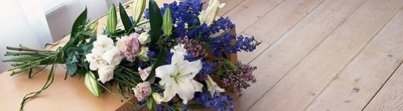 SED ELEIFEND IPASUM ID AUCTOR 1